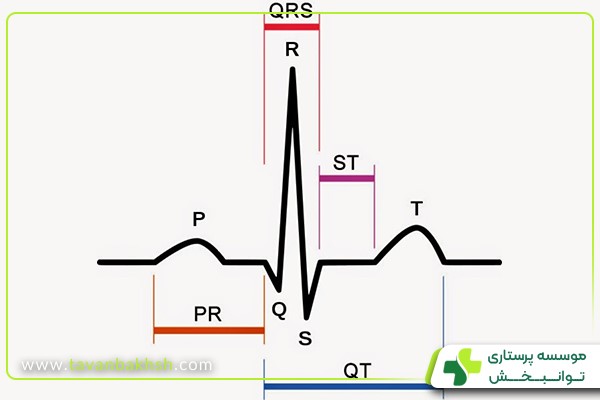 ویژگی‌های نوار قلب سالم