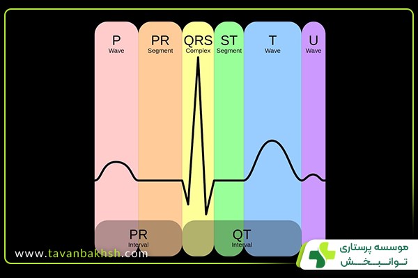 اصول عملکرد نوار قلب